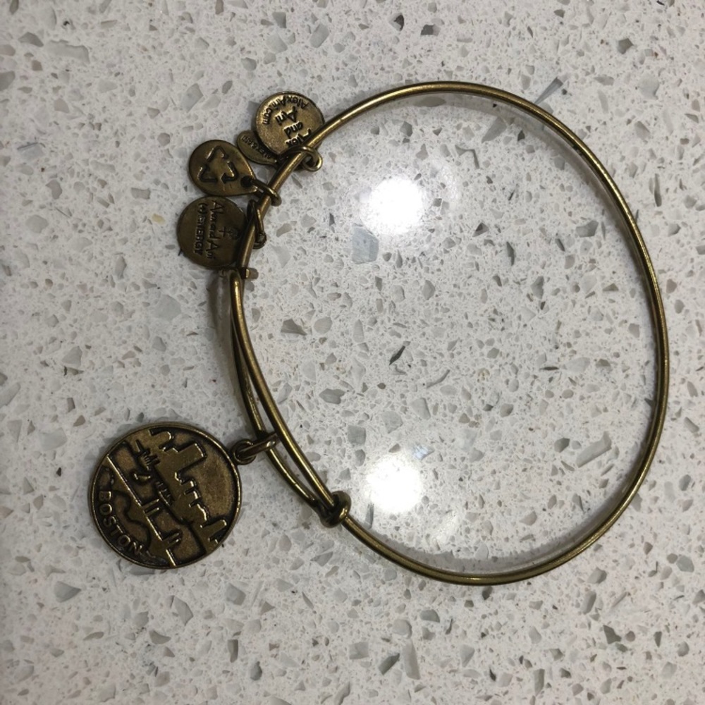 2/$20 ALEX AND ANI "Places We Love-Boston" Bangle